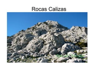 Rocas Calizas 
 