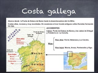 Costa gallega
 