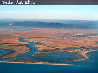 Delta del Ebro
 