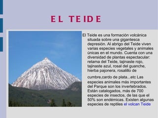 En las orientales esta Lanzarote y Fuerteaventura que tienen un relieve poco accidentado y de escasa altitud.Las occidentales son Gran Canaria,Tenerife,La Gomera,La Palma y el Hierro tinen altitudes superiores a los 1.000 metros. 