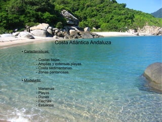 Costa Atlántica Andaluza 
● Características: 
- Costas bajas. 
- Amplias y extensas playas. 
- Costa sedimentarias. 
- Zonas pantanosas. 
● Modelado: 
- Marismas 
- Playas 
- Dunas 
- Flechas 
- Estuarios 
 