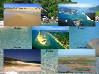 Dunas Estuario 
Playas Marismas 
Flecha 
 