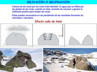 Efecto cuña de hielo
GELIVACIÓN O GELIFRACCIÓN
 