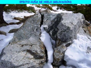 EFECTO CUÑA DE HIELO (GELIVACIÓN)
 