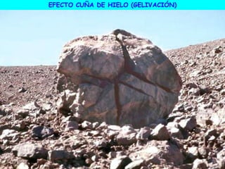 EFECTO CUÑA DE HIELO (GELIVACIÓN)
 