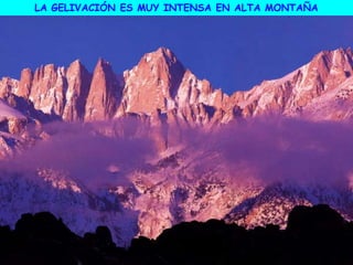 LA GELIVACIÓN ES MUY INTENSA EN ALTA MONTAÑA
 