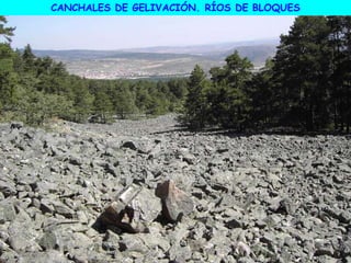 CANCHALES DE GELIVACIÓN. RÍOS DE BLOQUES
 