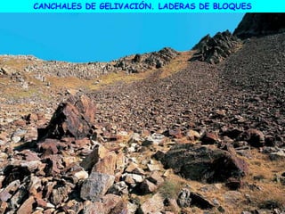 CANCHALES DE GELIVACIÓN. LADERAS DE BLOQUES
 