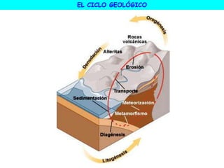 EL CICLO GEOLÓGICO
 