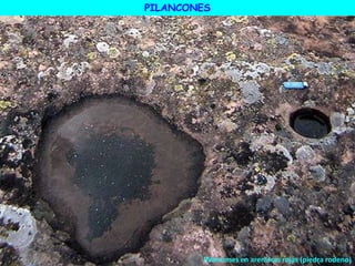 Pilancones en areniscas rojas (piedra rodeno)
PILANCONES
 