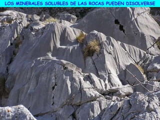 LOS MINERALES SOLUBLES DE LAS ROCAS PUEDEN DISOLVERSE
 