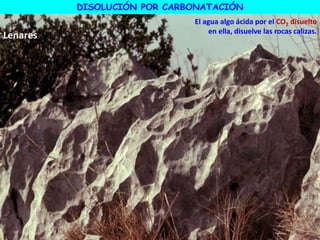 DISOLUCIÓN POR CARBONATACIÓN
El agua algo ácida por el CO2 disuelto
en ella, disuelve las rocas calizas.
Lenares
 