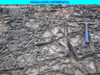 DISOLUCIÓN DIFERENCIAL
Meteorización alveolar o en panal
 