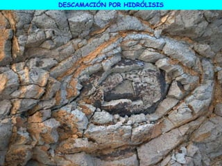 DESCAMACIÓN POR HIDRÓLISIS
 