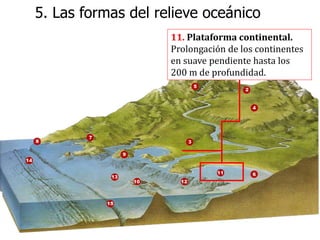5. Las formas del relieve oceánico
11. Plataforma continental.
Prolongación de los continentes
en suave pendiente hasta los
200 m de profundidad.
 