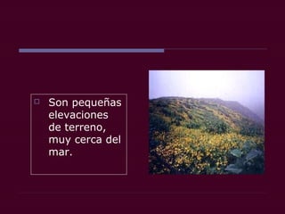  Son pequeñas
elevaciones
de terreno,
muy cerca del
mar.
 