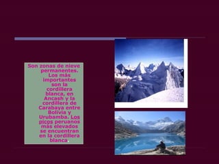 Son zonas de nieve
permanentes.
Los más
importantes
son la
cordillera
blanca, en
Ancash y la
cordillera de
Carabaya entre
Bolivia y
Urubamba. Los
picos peruanos
más elevados
se encuentran
en la cordillera
blanca.
 