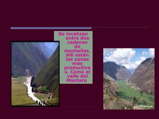 Se localizan
entre dos
cadenas
de
montañas.
Allí están
las zonas
más
productiva
s. Como el
valle del
Mantaro
 