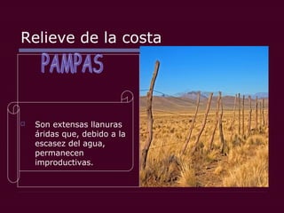 Relieve de la costa
 Son extensas llanuras
áridas que, debido a la
escasez del agua,
permanecen
improductivas.
 
