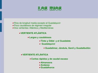 LOS RIOS


Ríos de longitud media excepto el Guadalquivir
Poco caudalosos de régimen irregular
Dos vertientes: Atlántica y Mediterránea

      VERTIENTE ATLÁNTICA
              Largos y caudalosos
                          Tinto y Odiel y el Guadalete
                           Guadalquivir
                              Guadalimar, Jándula, Genil y Guadalbullón

        VERTIENTE ATLÁNTICA
                Cortos rápidos y de caudal escaso
                          Almanzora
                          Andarax
                          Guadalhorce
 