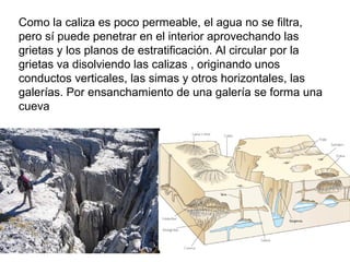 Como la caliza es poco permeable, el agua no se filtra,
pero sí puede penetrar en el interior aprovechando las
grietas y los planos de estratificación. Al circular por la
grietas va disolviendo las calizas , originando unos
conductos verticales, las simas y otros horizontales, las
galerías. Por ensanchamiento de una galería se forma una
cueva
 