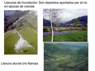 Llanuras de inundación: Son depósitos aportados por el río
en épocas de crecida
Llanura aluvial (río Narcea
 