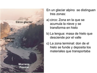En un glaciar alpino se distinguen
tres zonas:
a) circo: Zona en la que se
acumula la nieve y se
transforma en hielo
b) La lengua: masa de hielo que
desciende por el valle
c) La zona terminal: don de el
hielo se funde y deposita los
materiales que transportaba
 