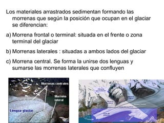 Los materiales arrastrados sedimentan formando las
morrenas que según la posición que ocupan en el glaciar
se diferencian:
a) Morrena frontal o terminal: situada en el frente o zona
terminal del glaciar
b) Morrenas laterales : situadas a ambos lados del glaciar
c) Morrena central. Se forma la unirse dos lenguas y
sumarse las morrenas laterales que confluyen
 