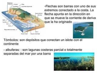 -Flechas son barras con uno de sus
extremos conectado a la costa. La
flecha apunta en la dirección en
que se mueve la corriente de deriva
que la ha originado
Tómbolos: son depósitos que conectan un islote con el
continente
- albuferas: : son lagunas costeras parcial o totalmente
separadas del mar por una barra
 