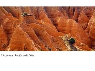 Cárcavas en Pontón de la Oliva
 