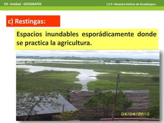 VII- Unidad : GEOGRAFÍA I.E.P «Nuestra Señora de Guadalupe» 
c) Restingas: 
Espacios inundables esporádicamente donde 
se practica la agricultura. 
 