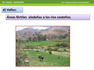 VII- Unidad : GEOGRAFÍA I.E.P «Nuestra Señora de Guadalupe» 
d) Valles: 
Áreas fértiles aledañas a los ríos costeños. 
 