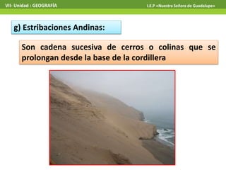 VII- Unidad : GEOGRAFÍA I.E.P «Nuestra Señora de Guadalupe» 
g) Estribaciones Andinas: 
Son cadena sucesiva de cerros o colinas que se 
prolongan desde la base de la cordillera 
 