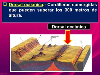  Dorsal oceánica.- Cordilleras sumergidas
que pueden superar los 300 metros de
altura.
Dorsal oceánica
 