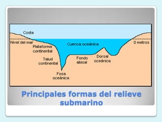 Principales formas del relieve
submarino

 
