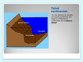 Talud
continental.
Es una especie de escalón
con fuerte pendiente que
separa la Plataforma
continental de la Llanura
abisal

 