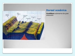 Dorsal oceánica
Cordillera submarina de gran
extensión

 