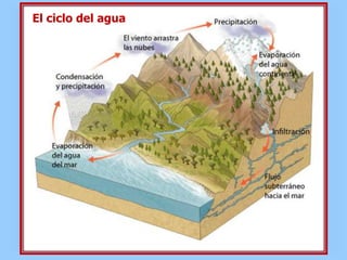 El ciclo del agua
 