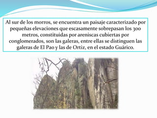 Al sur de los morros, se encuentra un paisaje caracterizado por
pequeñas elevaciones que escasamente sobrepasan los 300
metros, constituidas por areniscas cubiertas por
conglomerados, son las galeras, entre ellas se distinguen las
galeras de El Pao y las de Ortiz, en el estado Guárico.
 