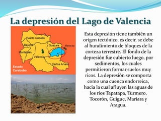 La depresión del Lago de Valencia
Esta depresión tiene también un
origen tectónico, es decir, se debe
al hundimiento de bloques de la
corteza terrestre. El fondo de la
depresión fue cubierto luego, por
sedimentos, los cuales
permitieron formar suelos muy
ricos. La depresión se comporta
como una cuenca endorreica,
hacia la cual afluyen las aguas de
los ríos Tapatapa, Turmero,
Tocorón, Guigue, Mariara y
Aragua.
 