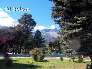 El BolsonEl Bolson
 
