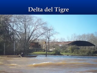 Delta del TigreDelta del Tigre
 