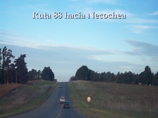 Ruta 88 hacia NecocheaRuta 88 hacia Necochea
 