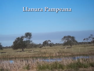 Llanura PampeanaLlanura Pampeana
 