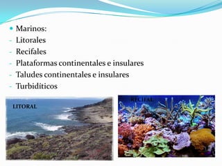 Descomprensión: Las rocas formadas en el interior de la tierra salen a la superficie y al estar sometidas a menos presión se expanden y agrietan.TERMOCLASTIAGELIFRACCIÓNGRANITO (Se altera por descompresión al salir a la superficie)
