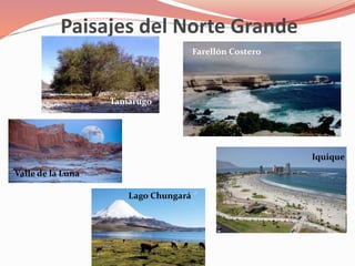 Relieve y paisajes de las zonas naturales | PPTX