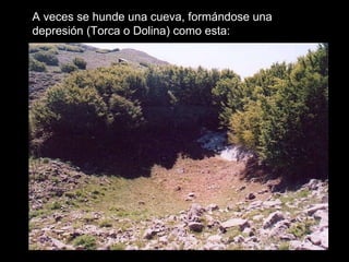 A veces se hunde una cueva, formándose una depresión (Torca o Dolina) como esta: 
