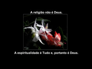 A religião não é Deus.




A espiritualidade é Tudo e, portanto é Deus.
 
