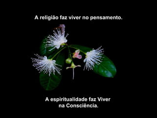 A religião faz viver no pensamento.




    A espiritualidade faz Viver
         na Consciência.
 