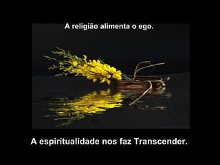 A religião alimenta o ego.




A espiritualidade nos faz Transcender.
 